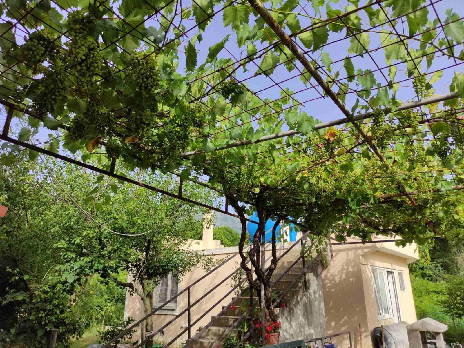 קוטור Green Valley מראה חיצוני תמונה