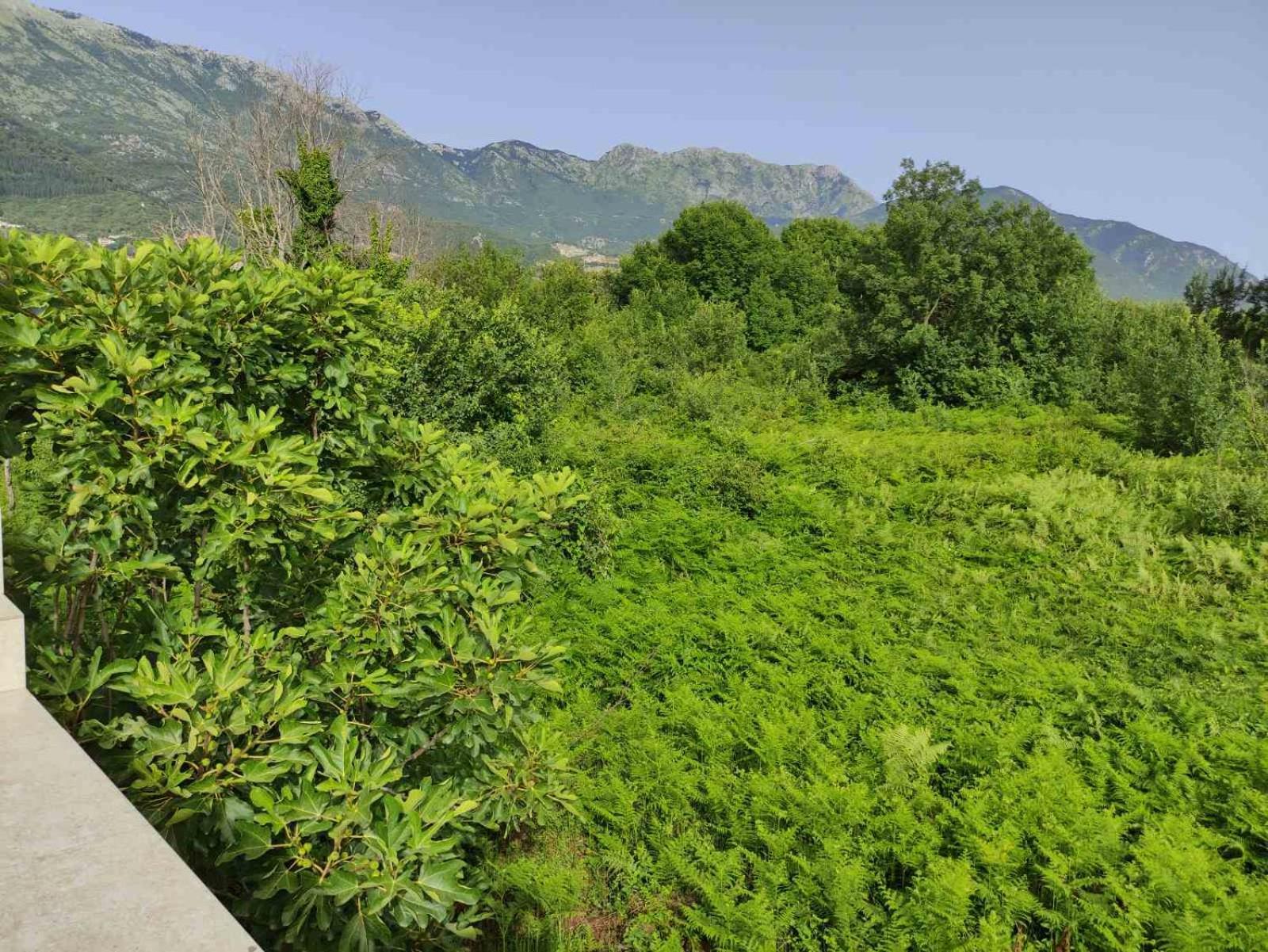 קוטור Green Valley מראה חיצוני תמונה