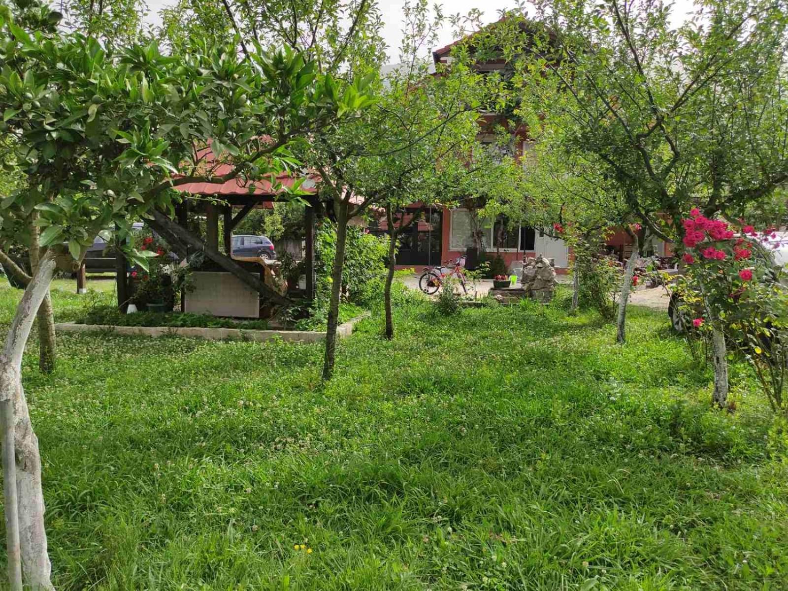 קוטור Green Valley מראה חיצוני תמונה